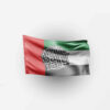 Runball Dubai Flag